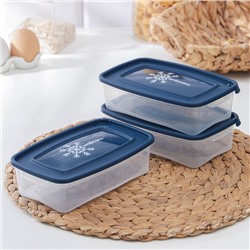 Набор контейнеров для замораживания продуктов «Морозко», 3 шт, 700 мл, цвет МИКС
