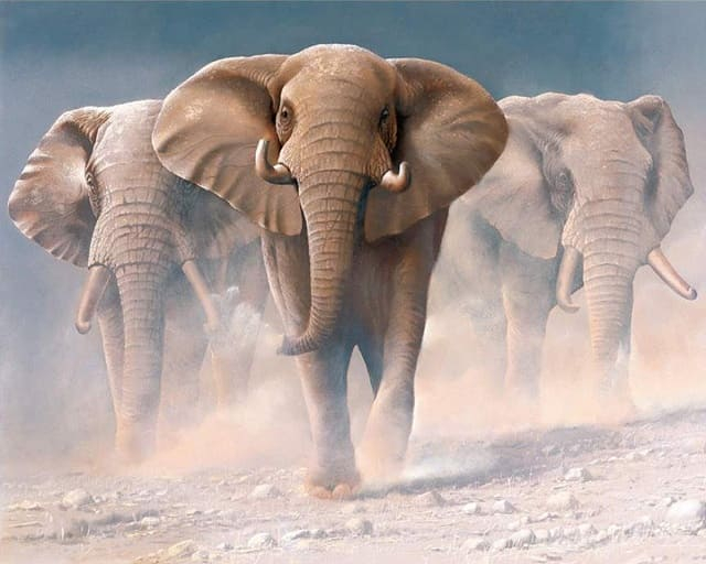 Слон в цветочном узоре Раскраска картина по номерам на холсте A487-80x100