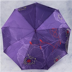зонт 
            35.FSC1010-06