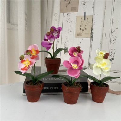 Цветочная композиция Орхидея 18 см / NS890 /уп 12/72/ (Светло-розовый)