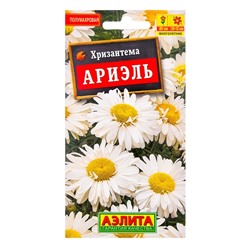 Семена  цветов Хризантема "Ариэль", Мн, 0,1 г