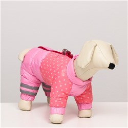 Комбинезон для собак  "Горошек", размер 14 (ДС 27, ОГ 38, ОШ 30 см), розовый