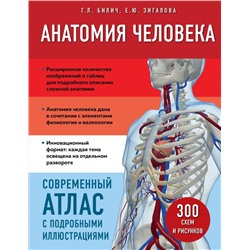 Анатомия человека. Современный атлас с подробными иллюстрациями Билич Г.Л., Зигалова Е.Ю.