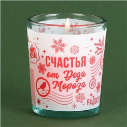Новогодняя свеча в стакане «Счастья от деда мороза», аромат корица