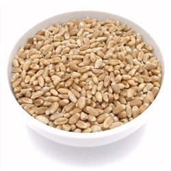 Пшеница для проращивания мягкая 1 кг.