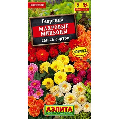 Георгина Махровые миньоны, смесь (Код: 89525)