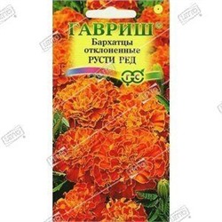 Бархатцы отклоненные Русти Ред, семена Гавриш 0,3г (цена за 2 шт)
