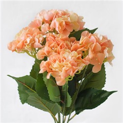 Гортензия куст (5 соцветий) - 11 расцветок