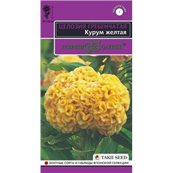 Целозия Курум желтая гребенчатая* 8 шт. (цена за 2 шт)