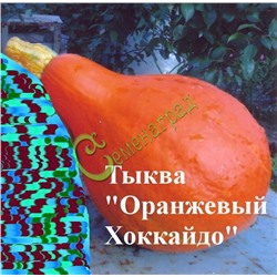 Семена почтой Тыква «Оранжевый Хоккайдо» - 4 семени Семенаград (Россия)