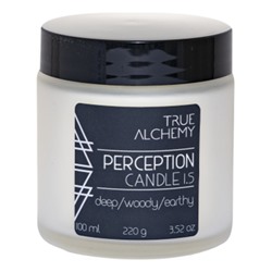 TRUE ALCHEMY Свеча PERCEPTION 220 г