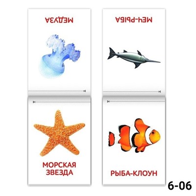 Книги Карточки Домана. 02.08.