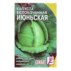 Семена Капуста белокачанная "Июньская", 0,5 г
