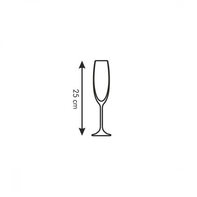 695850 Бокалы для шампанского Sommelier 210 мл, 6 шт 695850