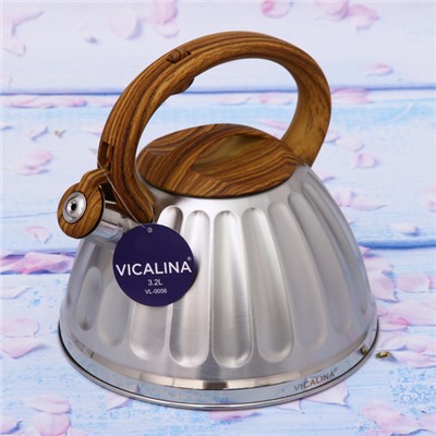 Чайник из нержавеющей стали 3,2л "Vicalina" глянцевый VL-0056