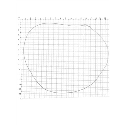 Цепь из серебра родированная - Панцирная, 50 см 925 пробы 100703250р панцирь