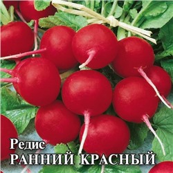 Редис Ранний красный 25,0 г (цена за 1 шт)