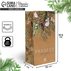 Пакет без ручек «Present for you», 10 х 19.3 х 7 см, Новый год