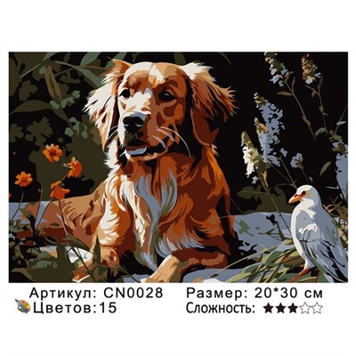 PH23 CN0028, 20х30 см