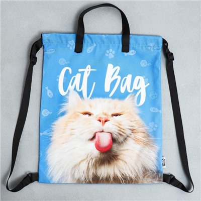 Мешок для обуви «1 сентября: Cat Bag» два вида ручек, 30 х 40 см