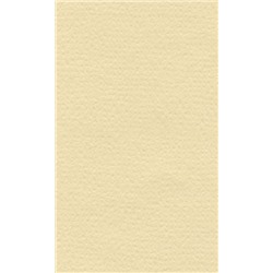 LANA Бумага для пастели «Lana Colours», 160 г/м², 70х100 см, 10 л, кремовый