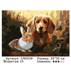 PH23 CN0038, 20х30 см