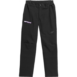 Брюки детские TROUSERS FNK  F097