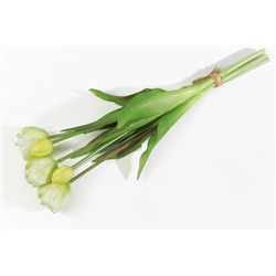 Букет открытых тюльпанов 3+2 белые