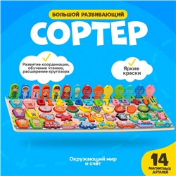 Большой развивающий набор для детей «Сортер. Окружающий мир и счёт»