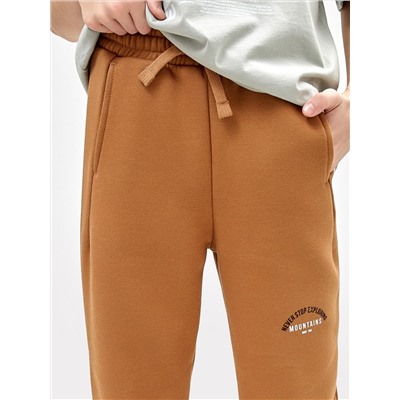 Теплые брюки-джоггеры песочного цвета для мальчиков