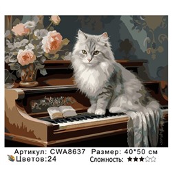 PH 40х50 CWA8637