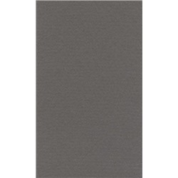 LANA Бумага для пастели «Lana Colours», 160 г/м², 42х29,7 см, 25 л, темно-серый
