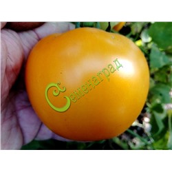 Семена томатов Оранжевый ранний - 20 семян Семенаград (Россия)