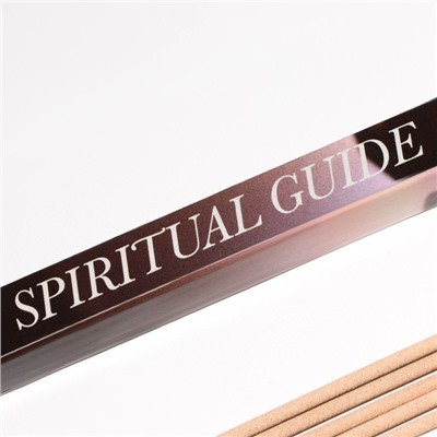 Благовония "Восточные тайны Духовный наставник. SPIRITUAL GUIDE", 8 палочек