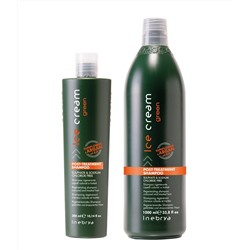 INEBRYA GREEN Шампунь для окраш/хим/обработ волос с масл арган и подсол Post-Treatment 300мл