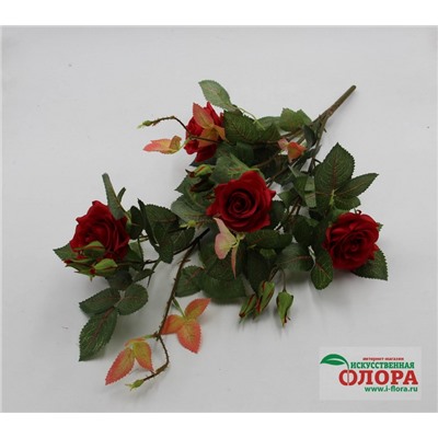 Роза кустовая малая (ВМ-60)