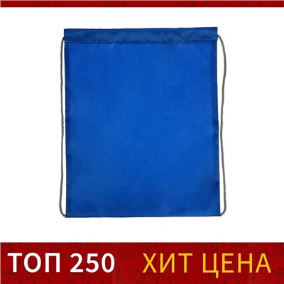 Мешок для обуви 420 х 340 мм, Calligrata "Стандарт", (мягкий полиэстер, плотность 210 D), синий