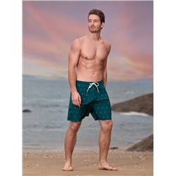 Пляжные шорты "Индефини" (Арт.4005YMS)