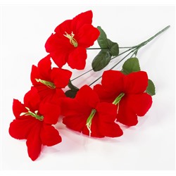 Лилия "Красный ковёр" 5 цветков