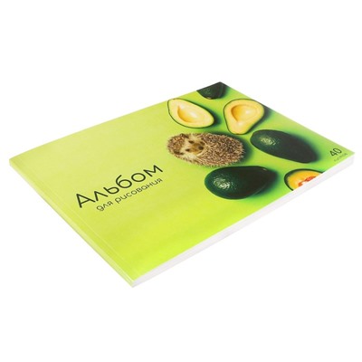 Альбом для рисования А4, 40 листов на склейке "Авокадо", обложка мелованный картон, блок 100 г/м²