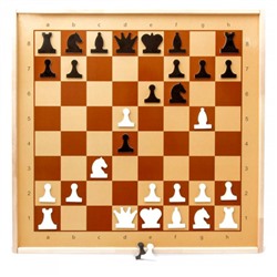 Игра настенная Шахматы магнитные демонстрационные 73*73см Десятое Королевство 01756