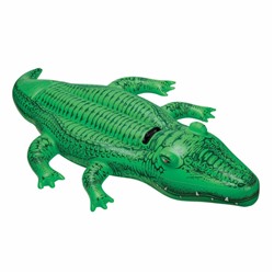 58546 Крокодил (163х97) (12)