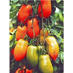 Семена томатов Красные сосульки - 20 семян Семенаград (Россия)