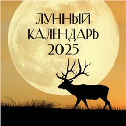 Лунный календарь на 2025 год (настенный)