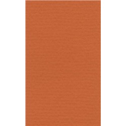LANA Бумага для пастели «Lana Colours», 160 г/м², 21х29,7 см, 25 л, оранжевый