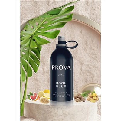 Prova Mixed Cool Blue EDP мужские духи 120 мл