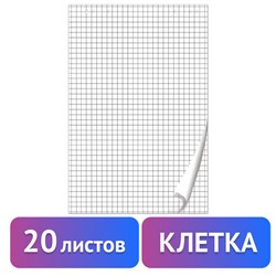 Блокнот для флипчарта ПЛОТНЫЙ 80 г/м2, BRAUBERG, 20 листов, КЛЕТКА, 67,5х98 см, 128645