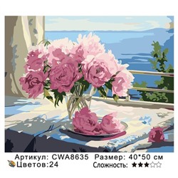 PH 40х50 CWA8635