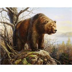 Бурый медведь (худ. Данчурова Т.)