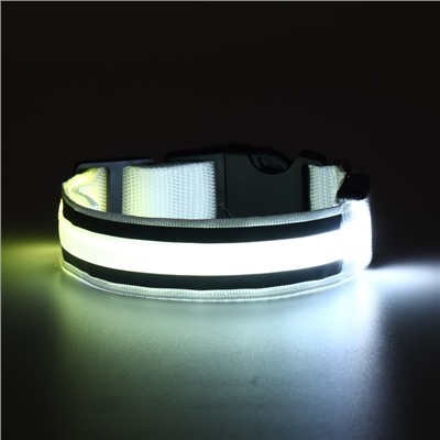 Ошейник с подсветкой Двойная полоса размер S, ОШ 35-43 х 2,5 см, 3 режима свечения белый